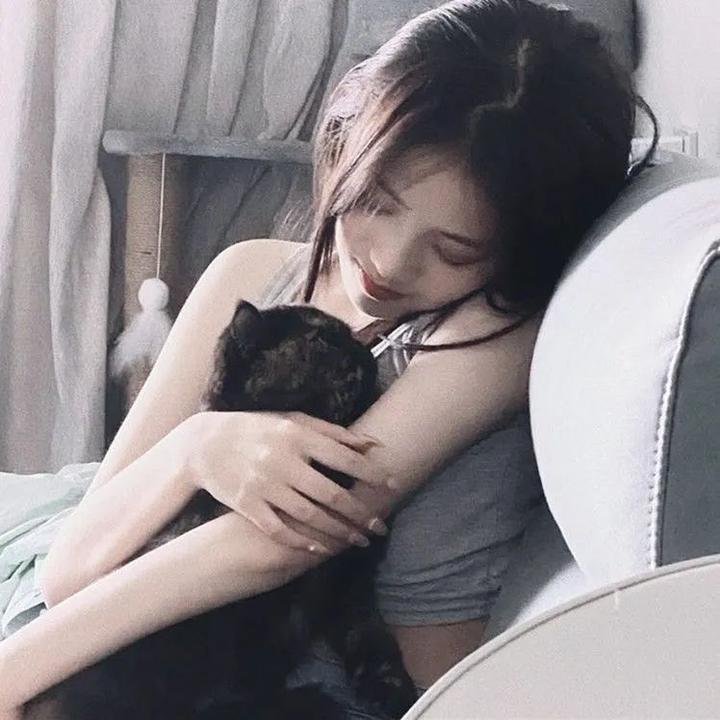 恣女木