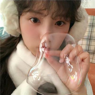 惹不起的宫主大人